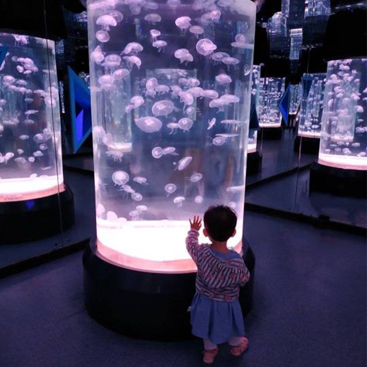 Aquário de medusas - Leyu
