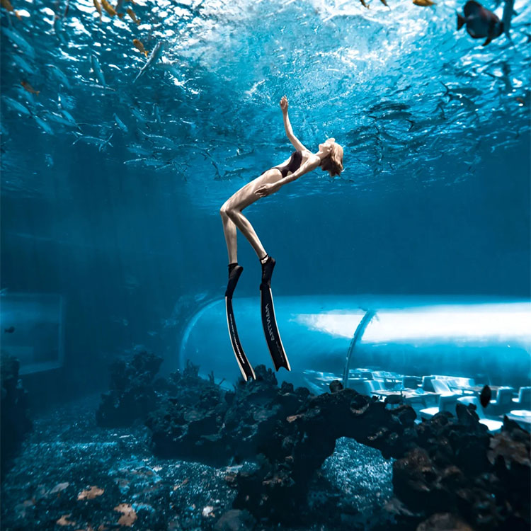 O lindo aquário grande túnel acrílico - Fábrica de produtos de folha acrílica Leyu