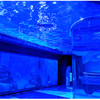 Oceanarium chicago oceanarium restaurante como limpar um aquárioLeyu fábrica de aquários de acrílico - Leyu