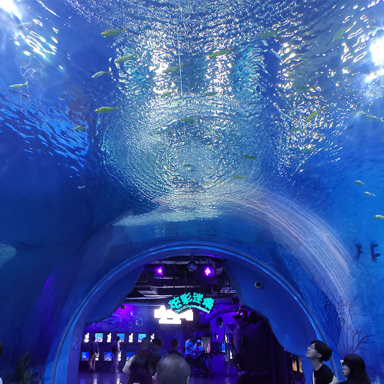 Túnel do aquário Leyu