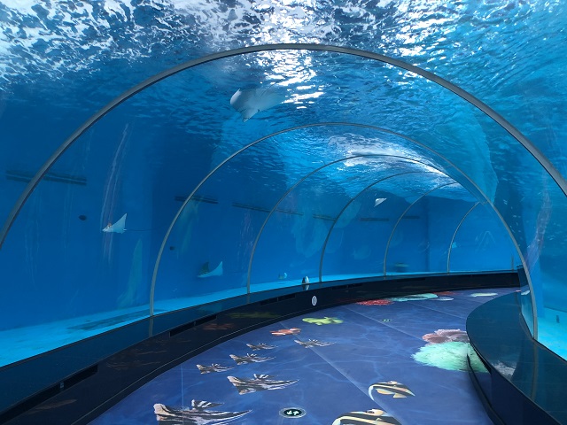túnel de aquário
