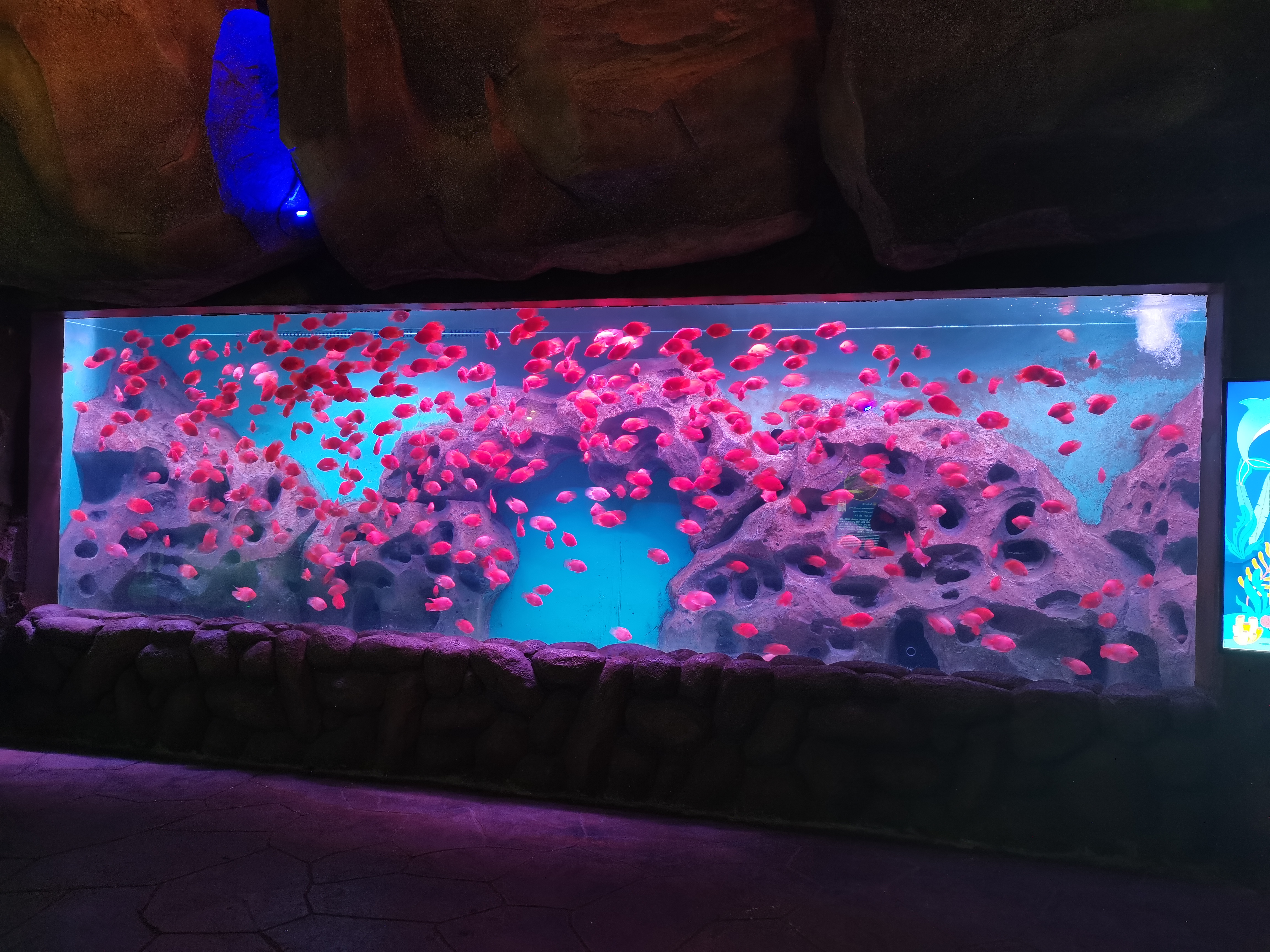 Venda grande aquário de acrílico transparente - Leyu