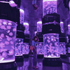 Tanque de aquário de medusas acrílico personalizado, tanque de medusas que estilos - Leyu