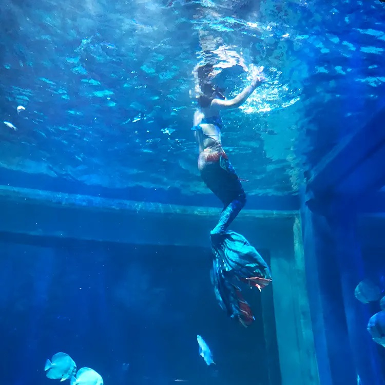  Restaurante com paisagem aquática em acrílico Deixe você sentir o mistério e o encanto do oceano - Piscinas de acrílico Leyu à venda