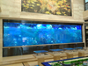 Procure os melhores aquários de acrílico transparente - Leyu