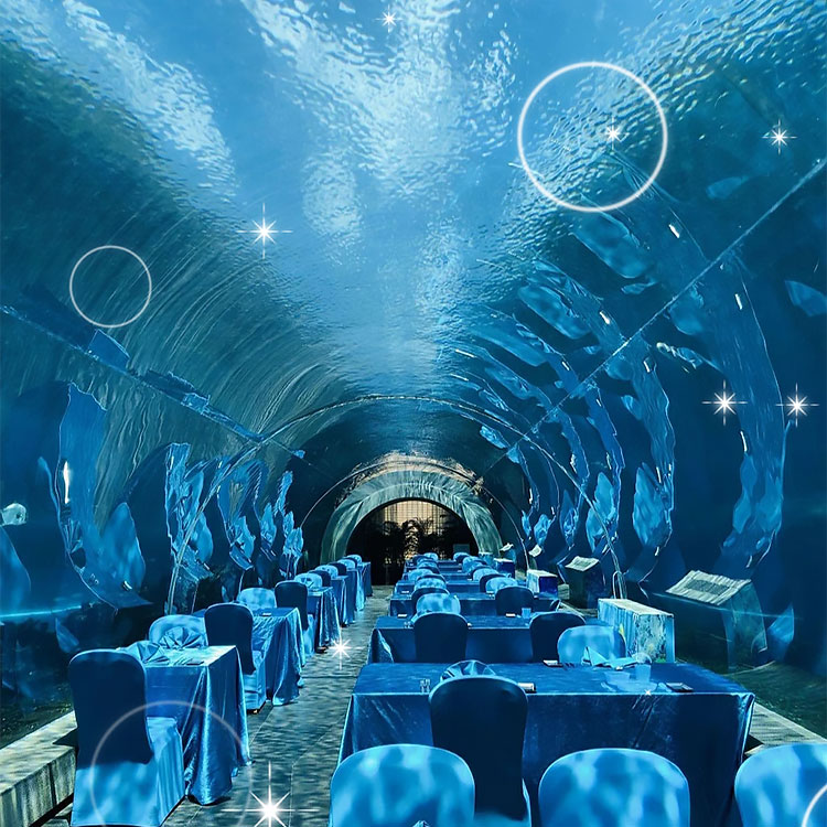 360 Aquário Túnel Polar Ocean World - Leyu