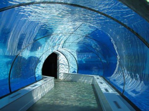 Reparação de arranhões de superfície em túnel de peixes para aquário - Fábrica de produtos de folha acrílica Leyu