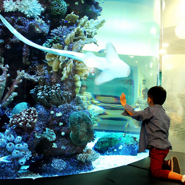 Leyu acrílico apresenta os melhores aquários de acrílico ideais para aquários de água doce - Leyu