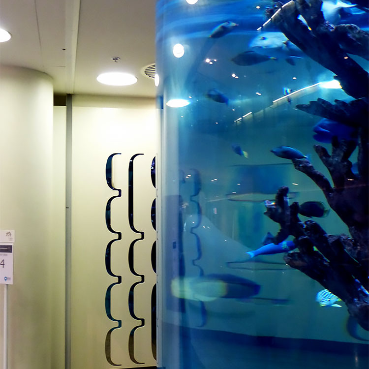 A Leyu Acrílico Aquarium Factory vende placas acrílicas para aquários com espessura máxima de 800mm - Leyu