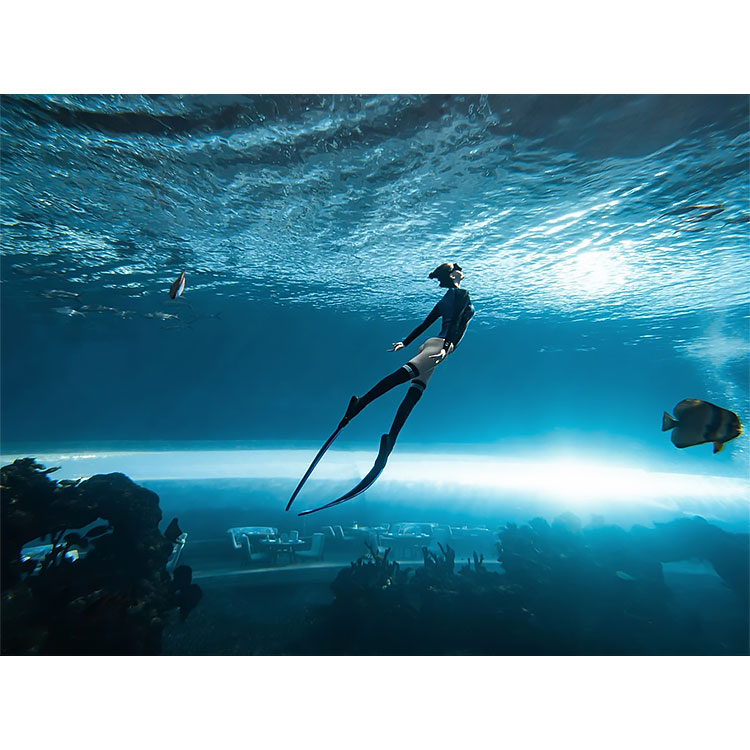 túnel subaquático de aquário