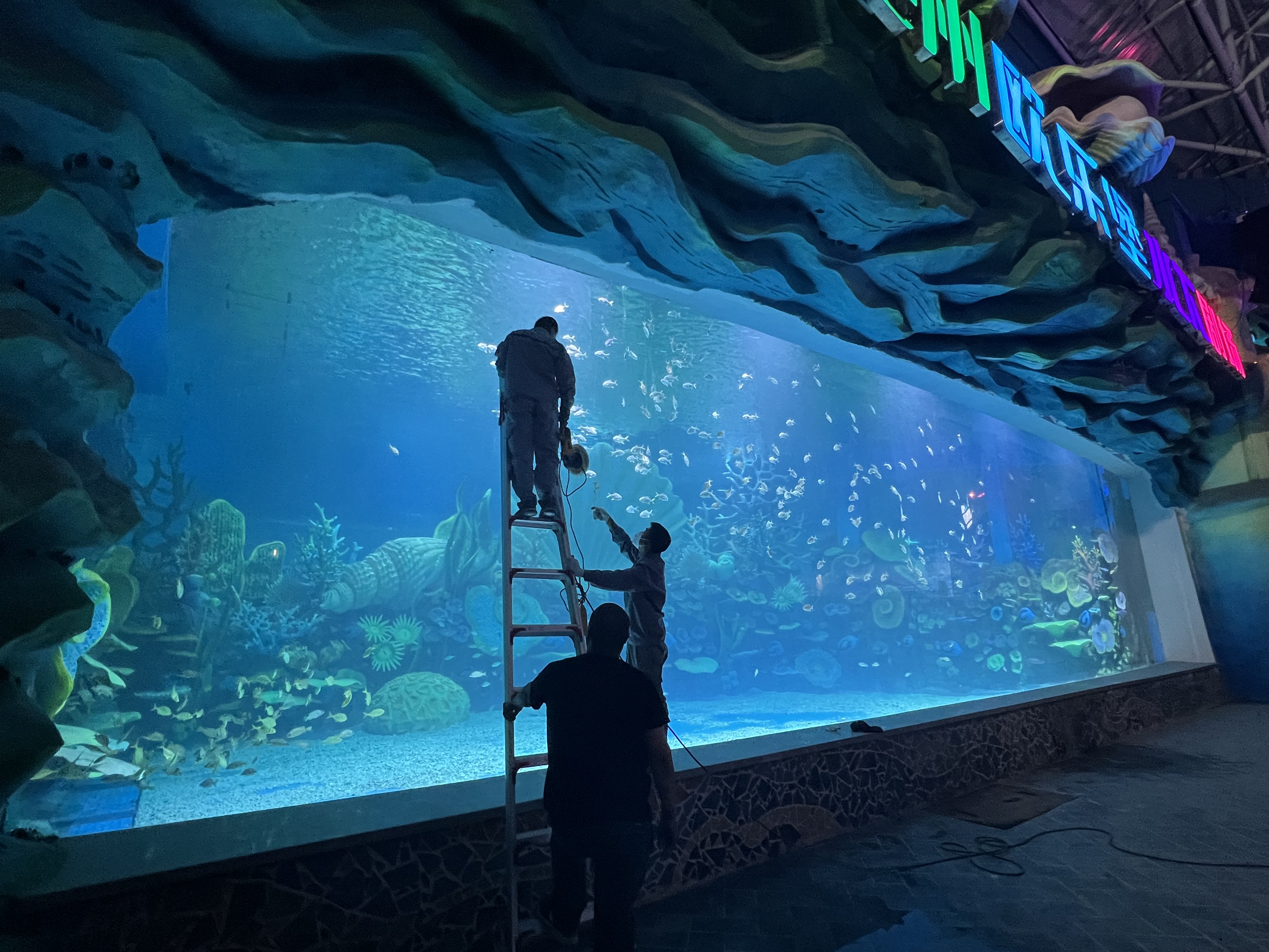 Um aquário com janela de piscina de acrílico é espetacular