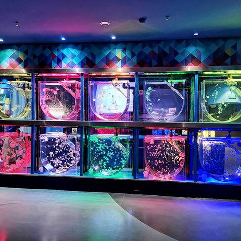 Leyu Acrílico Aquarium Factory produz aquário acrílico de 100 galões - Leyu 