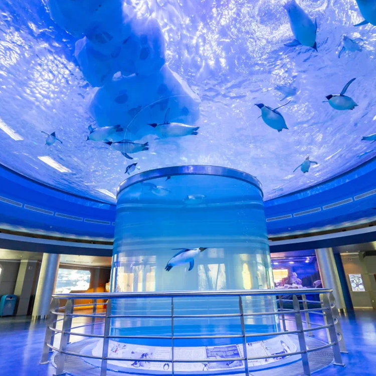 Design popular de aquário acrílico em 2024 - Leyu