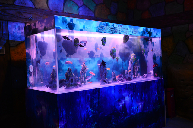 Quero comprar um aquário de acrílico transparente - leyu Acrílico Factory