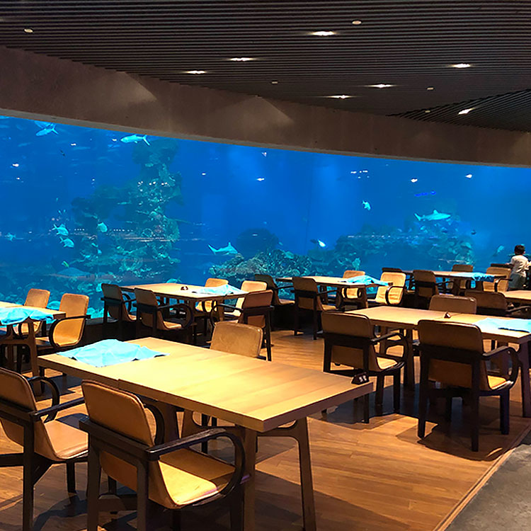 A loja Aquarium Cafe tem janelas de acrílico, túneis de aquário acrílico e tanques de peixes de acrílico - Leyu