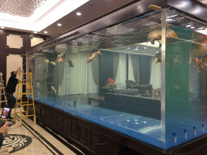 Leyu acrílico diz que aquários de vidro ou acrílico transparente o que é melhor para você - Leyu