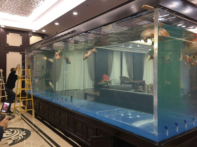 Leyu acrílico diz que aquários de vidro ou acrílico transparente o que é melhor para você - Leyu