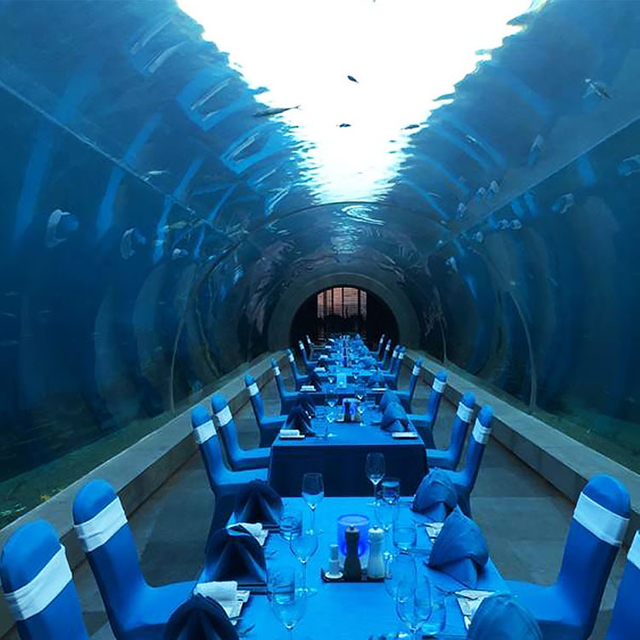 Aquários subaquáticos de túnel de tubarão Oceanarium em Ocean Park - Fábrica de produtos de folha acrílica Leyu