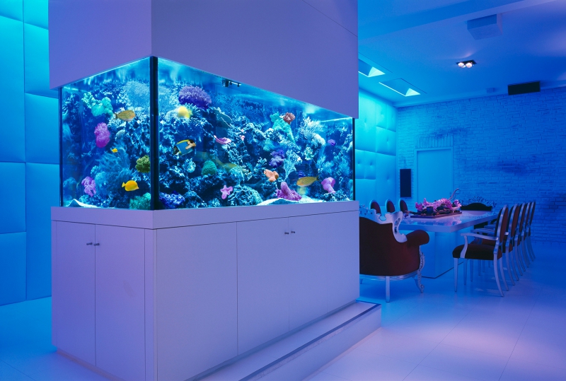 Quero comprar um aquário de acrílico transparente - leyu Acrílico Factory