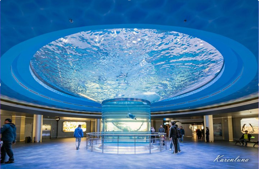 Grandes tanques de peixes de aquário de cilindro acrílico instalados em um shopping - Acrílico Leyu