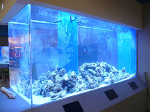  Como construir um aquário de alta qualidade e bom preço - Acrílico Leyu