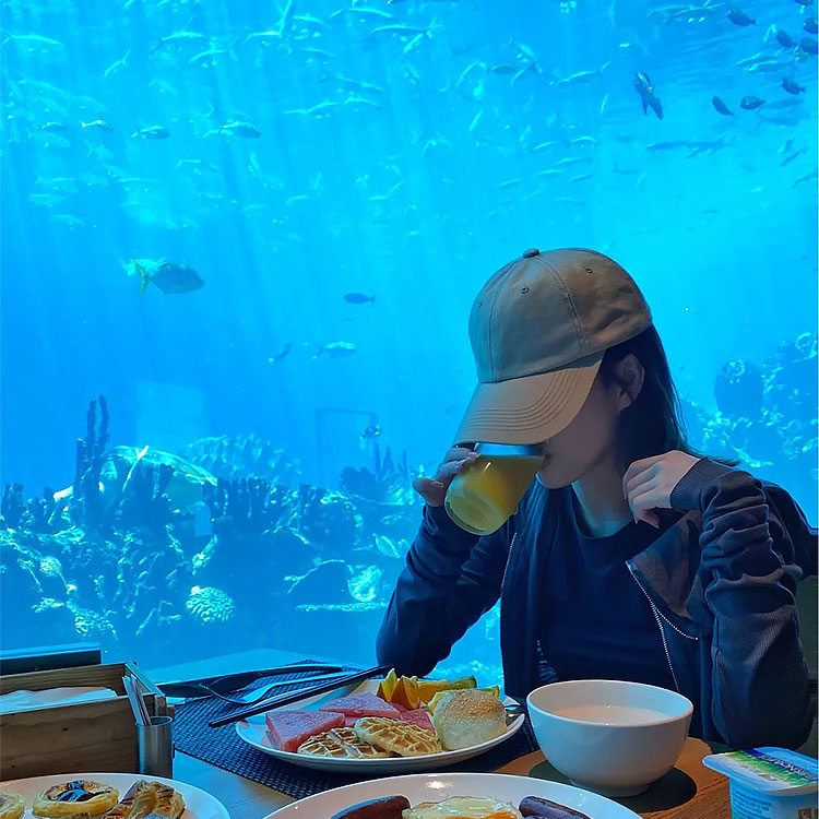 A loja Aquarium Cafe tem janelas de acrílico, túneis de aquário acrílico e tanques de peixes de acrílico - Leyu