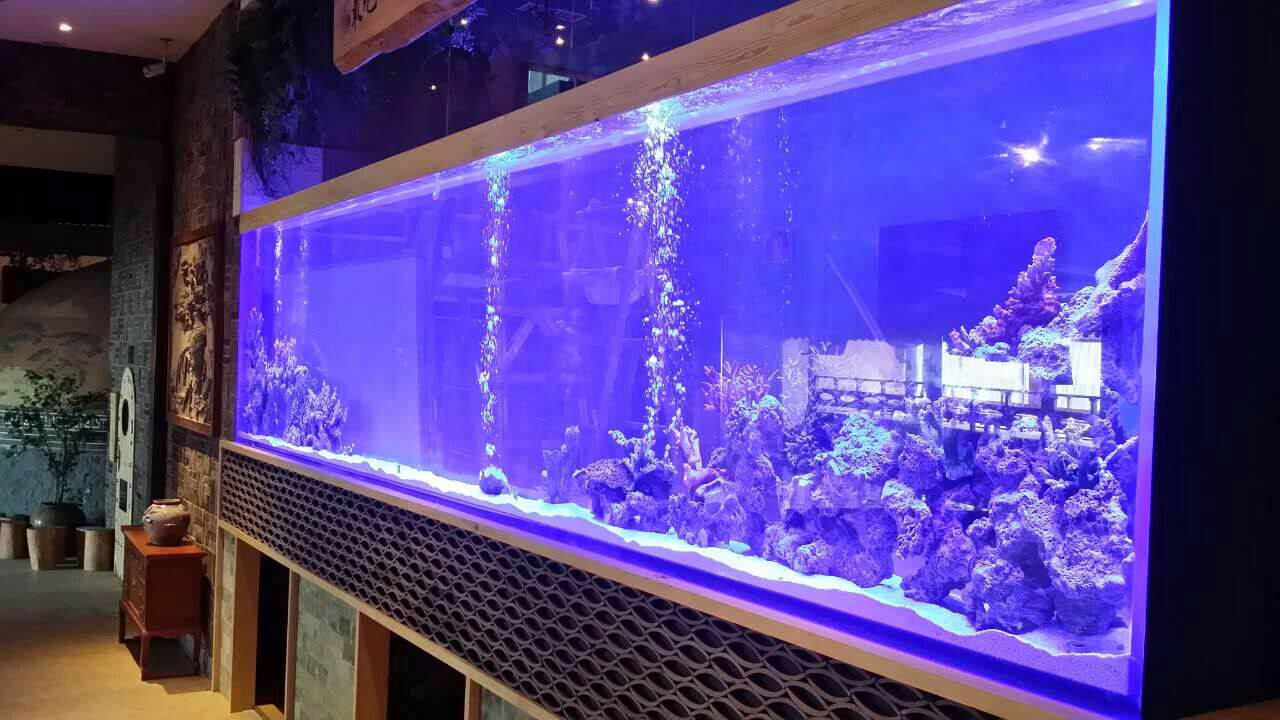 Qual é o melhor acrílico para construir um aquário de acrílico transparente - Leyu Acrílico Sheet Products Factory