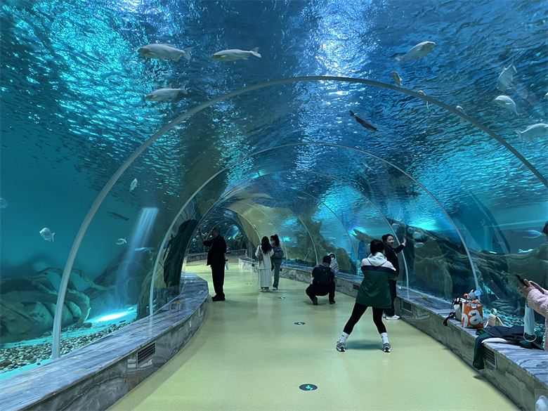 O aquário túnel perto de nós é feito de folha acrílica Leyu - Leyu 