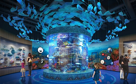 Como é feito o aquário cilíndrico de acrílico - Leyu