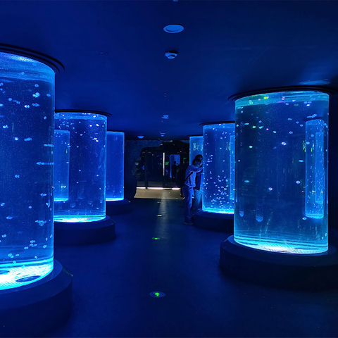 Onde comprar aquário cilíndrico de medusa - Leyu